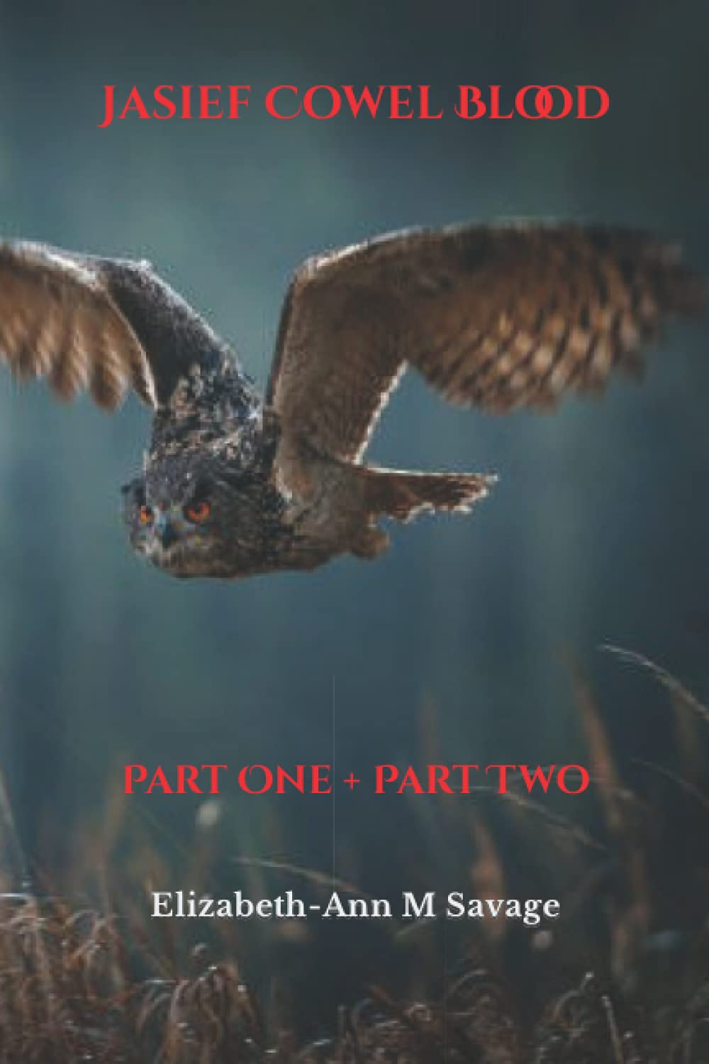 Jasief Cowel Blood: Part One + Part Two (Jasief Cowel Blood Saga) poster