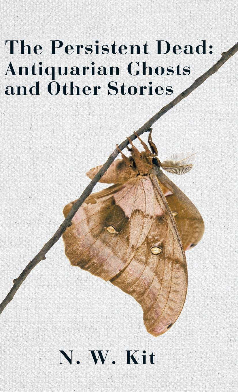 The Persistent Dead: Antiquarian Ghosts and Other Stories poster