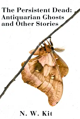 The Persistent Dead: Antiquarian Ghosts and Other Stories poster