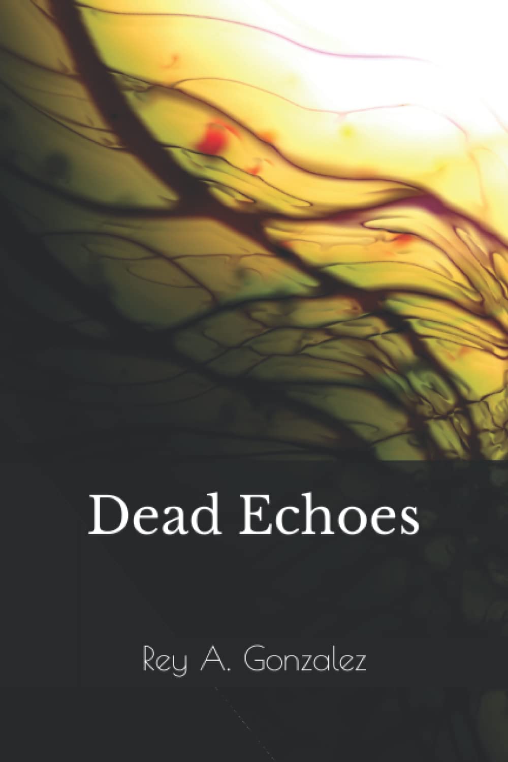 Dead Echoes poster
