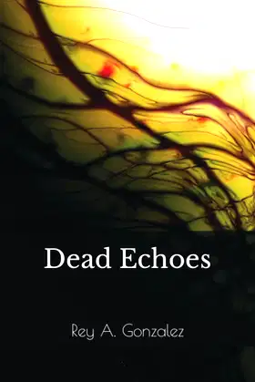 Dead Echoes poster