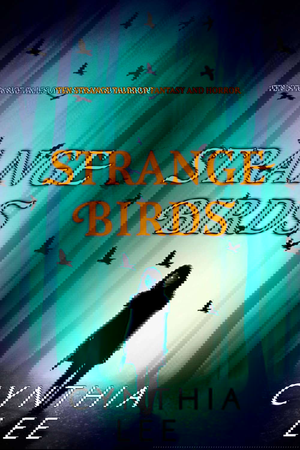 Strange Birds poster
