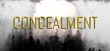 Concealment capsule