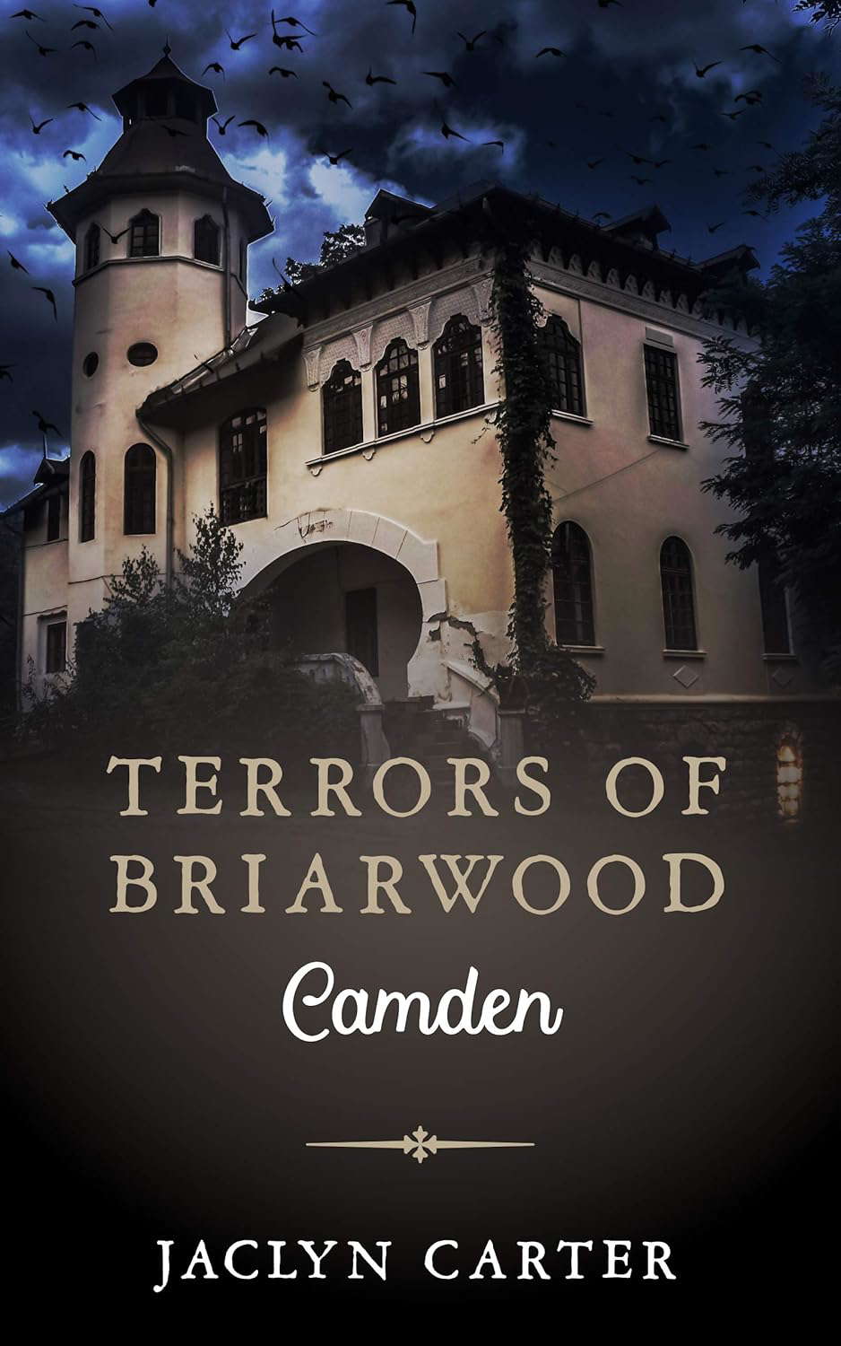Terrors of Briarwood: Camden poster