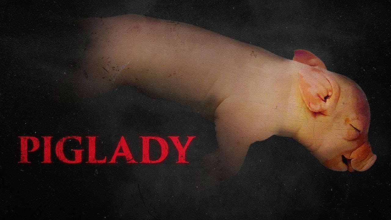 Poster for Piglady