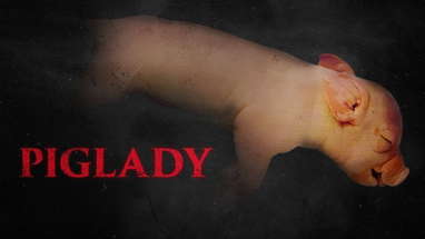 Piglady | Official Trailer | Horror Brains poster