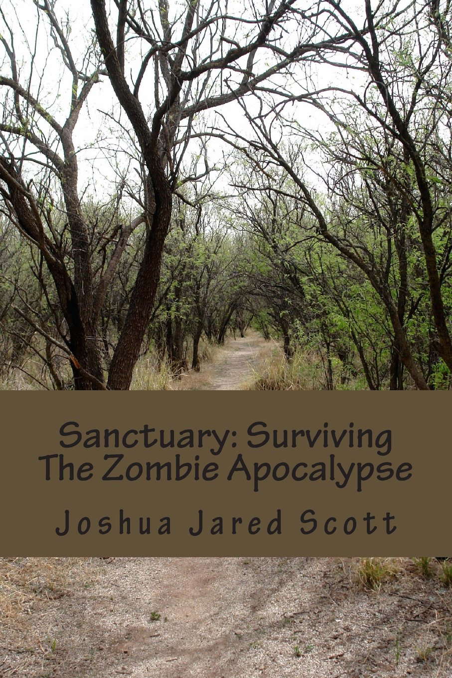 Sanctuary: Surviving The Zombie Apocalypse poster