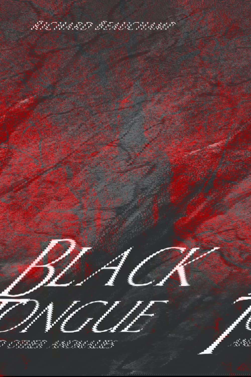 Black Tongue and Other Anomalies poster