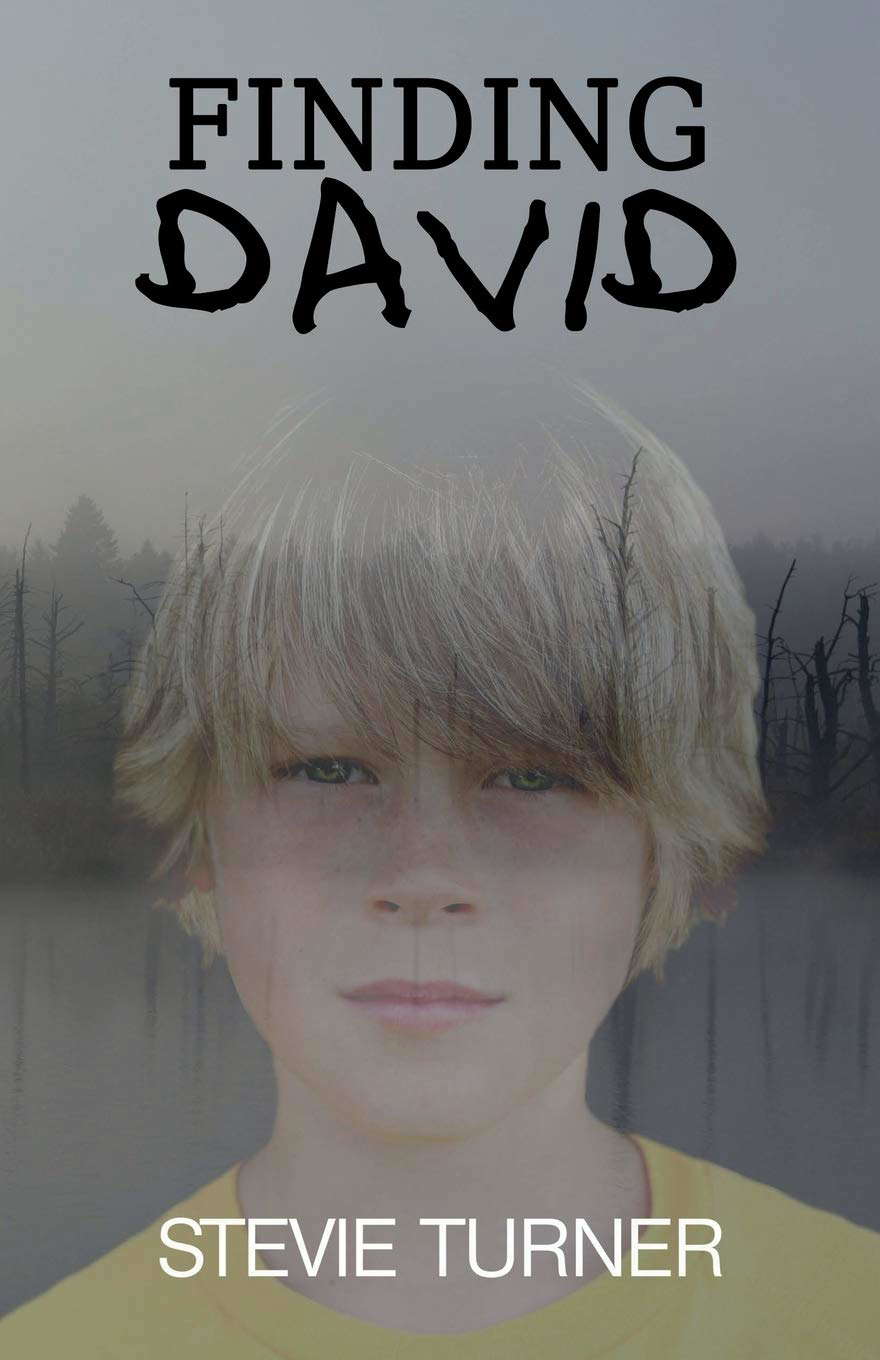Finding David: A Paranormal Short Story poster