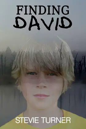 Finding David: A Paranormal Short Story poster