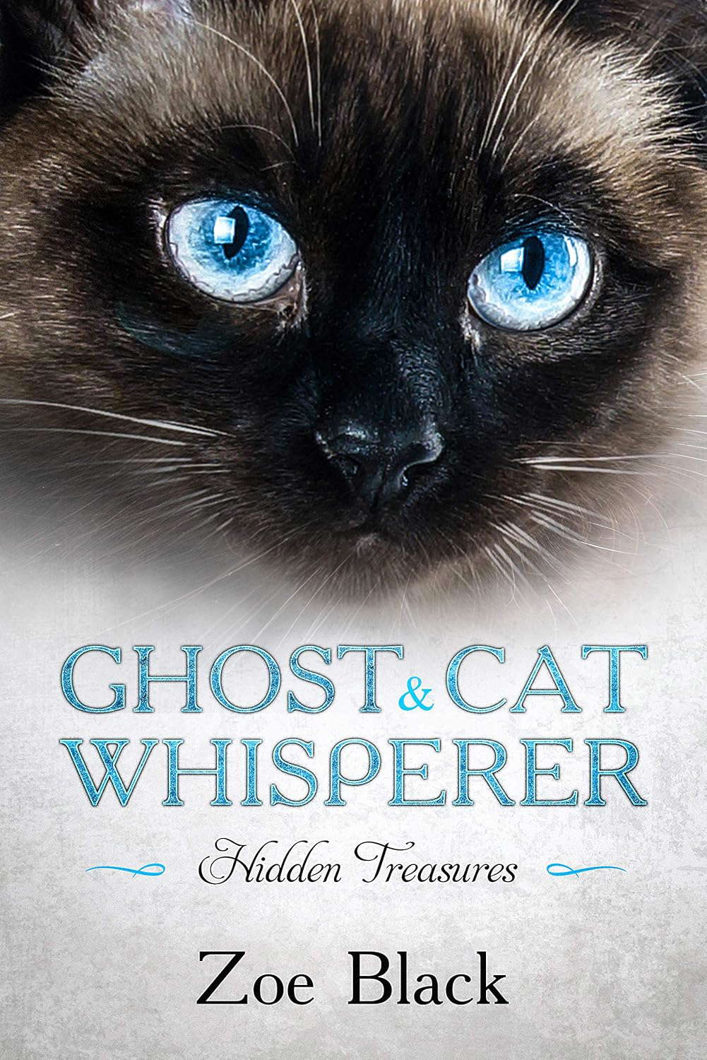 Ghost & Cat Whisperer: Hidden Treasures - Book 3 poster
