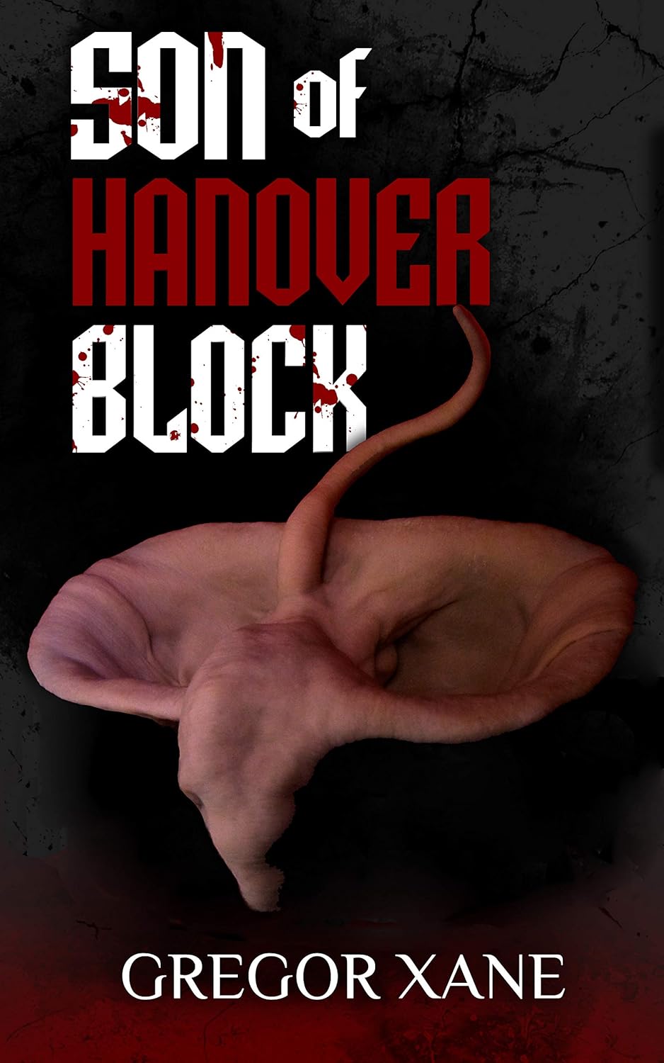 Son of Hanover Block (The Hanover Quartet Book 3) poster