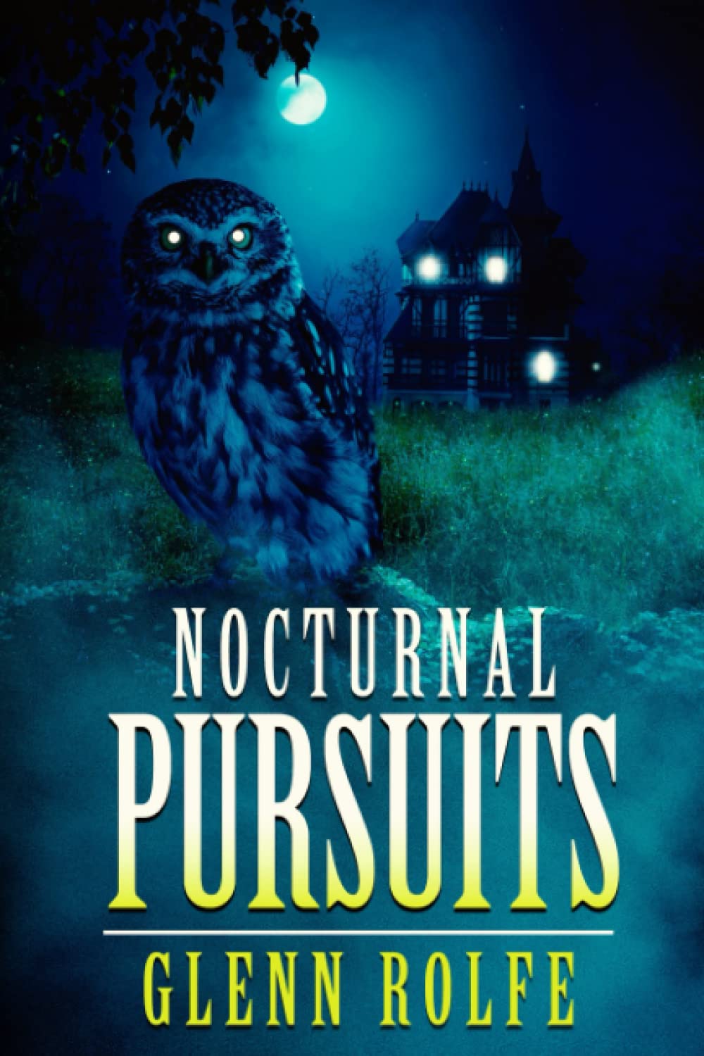 Nocturnal Pursuits poster