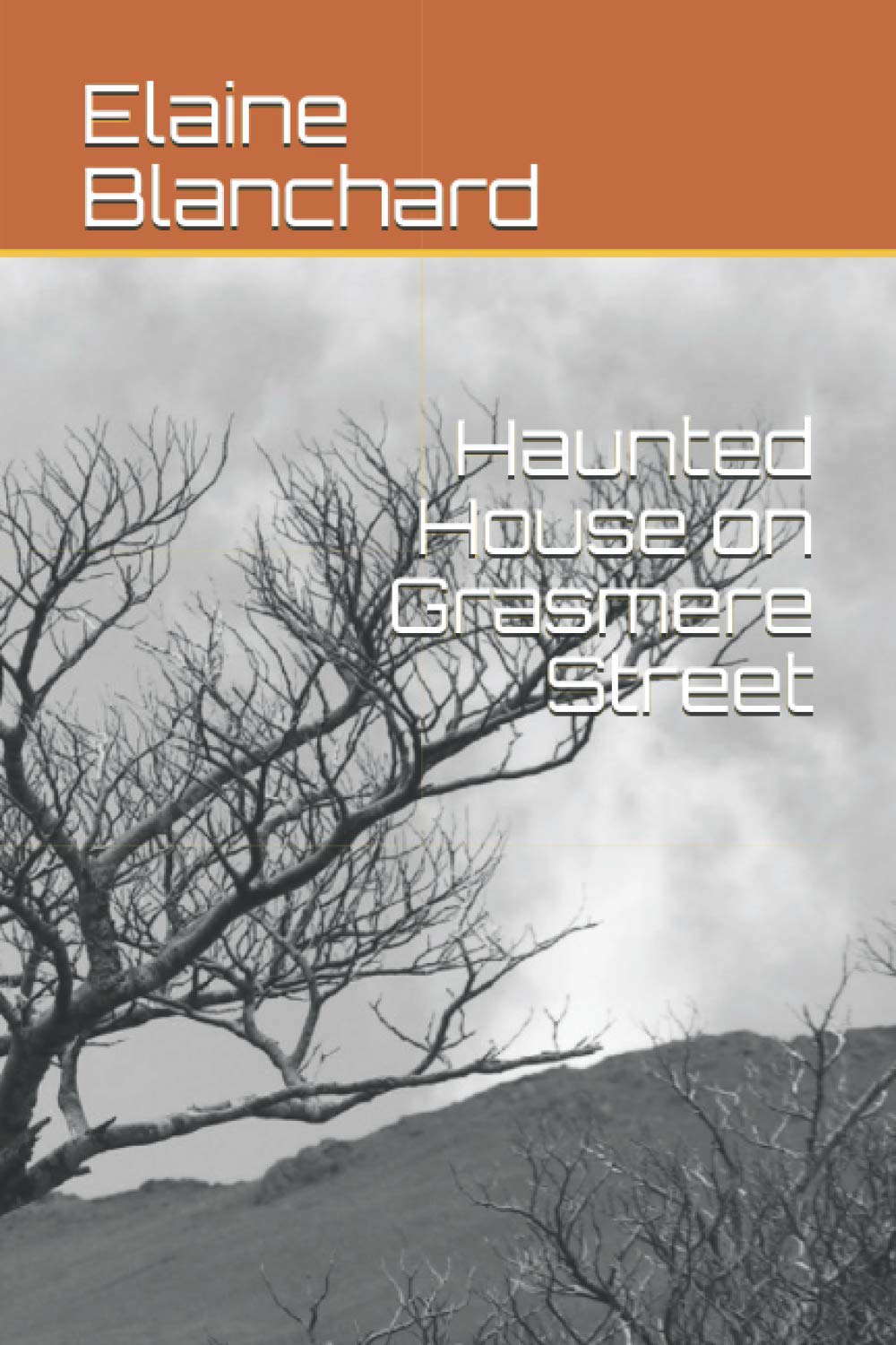 Haunted House on Grasmere Street poster