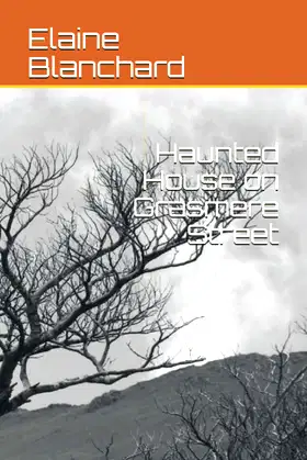 Haunted House on Grasmere Street poster