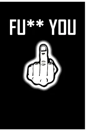 Fu** you Notebook: don't give a sh** poster