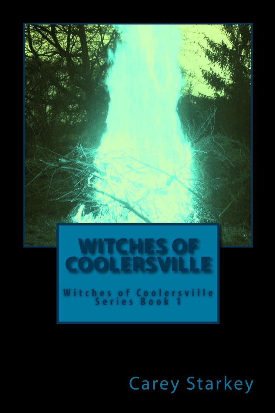 Witches Of Coolersville: Witches of Coolersville Series Book 1 poster