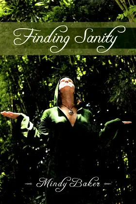 Finding Sanity poster
