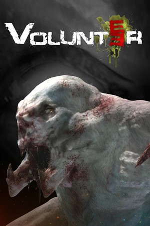 Volunteer poster
