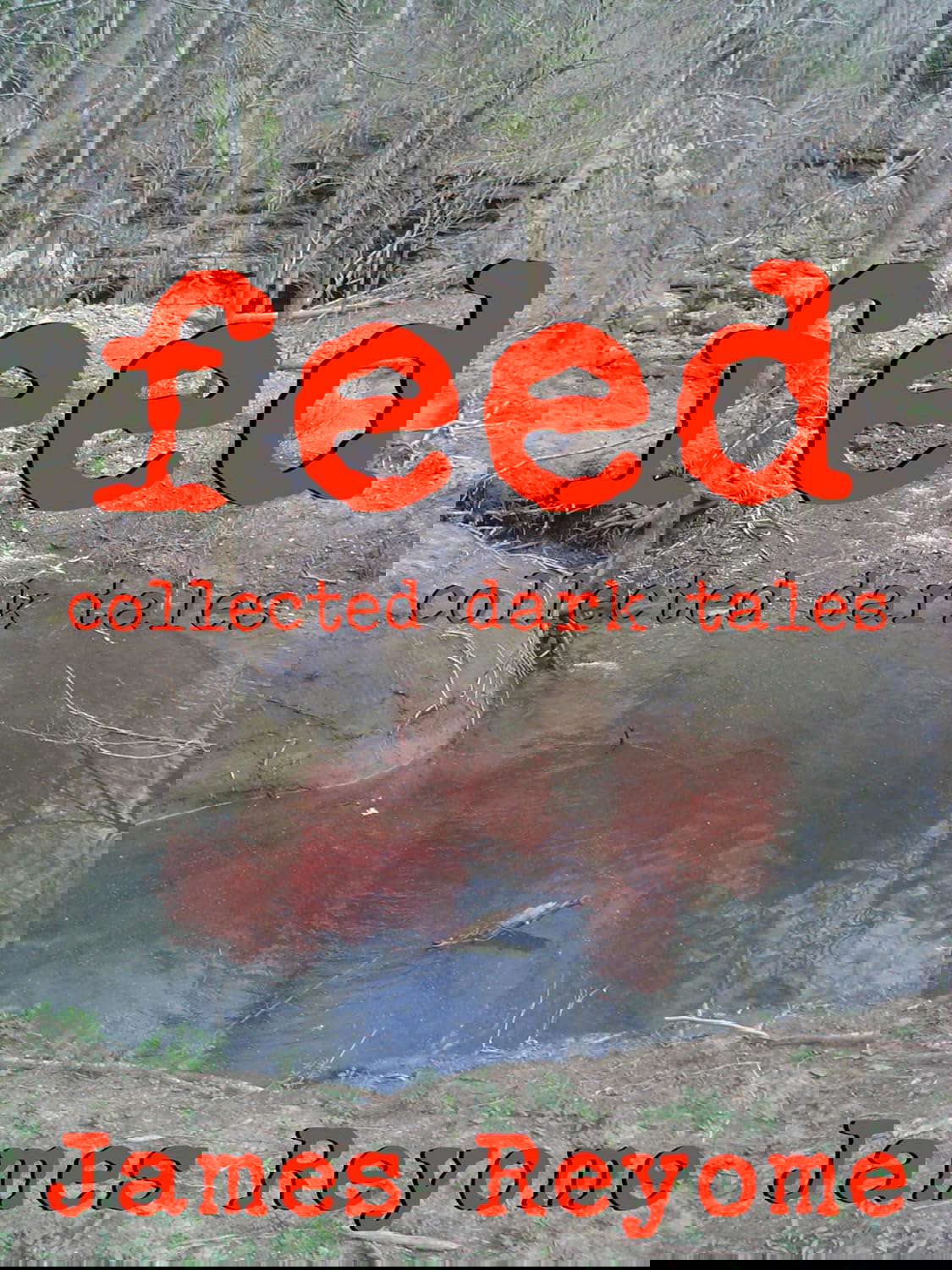 Feed: Collected Dark Tales poster