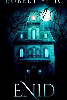 Enid: A Ghost Story poster