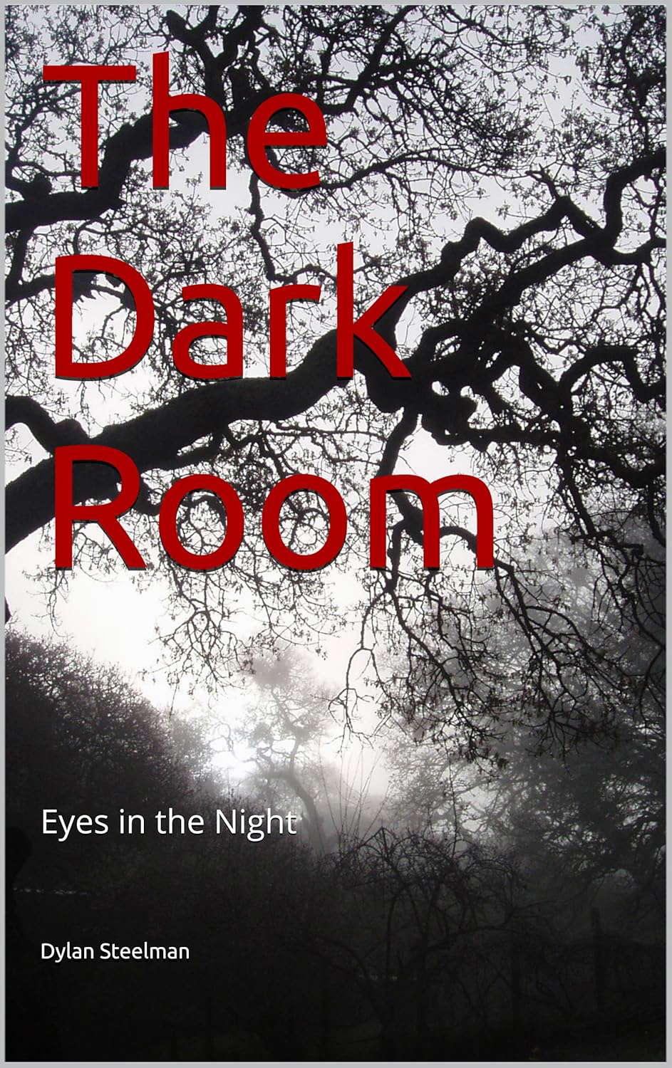 The Dark Room: Eyes in the Night poster
