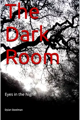 The Dark Room: Eyes in the Night poster