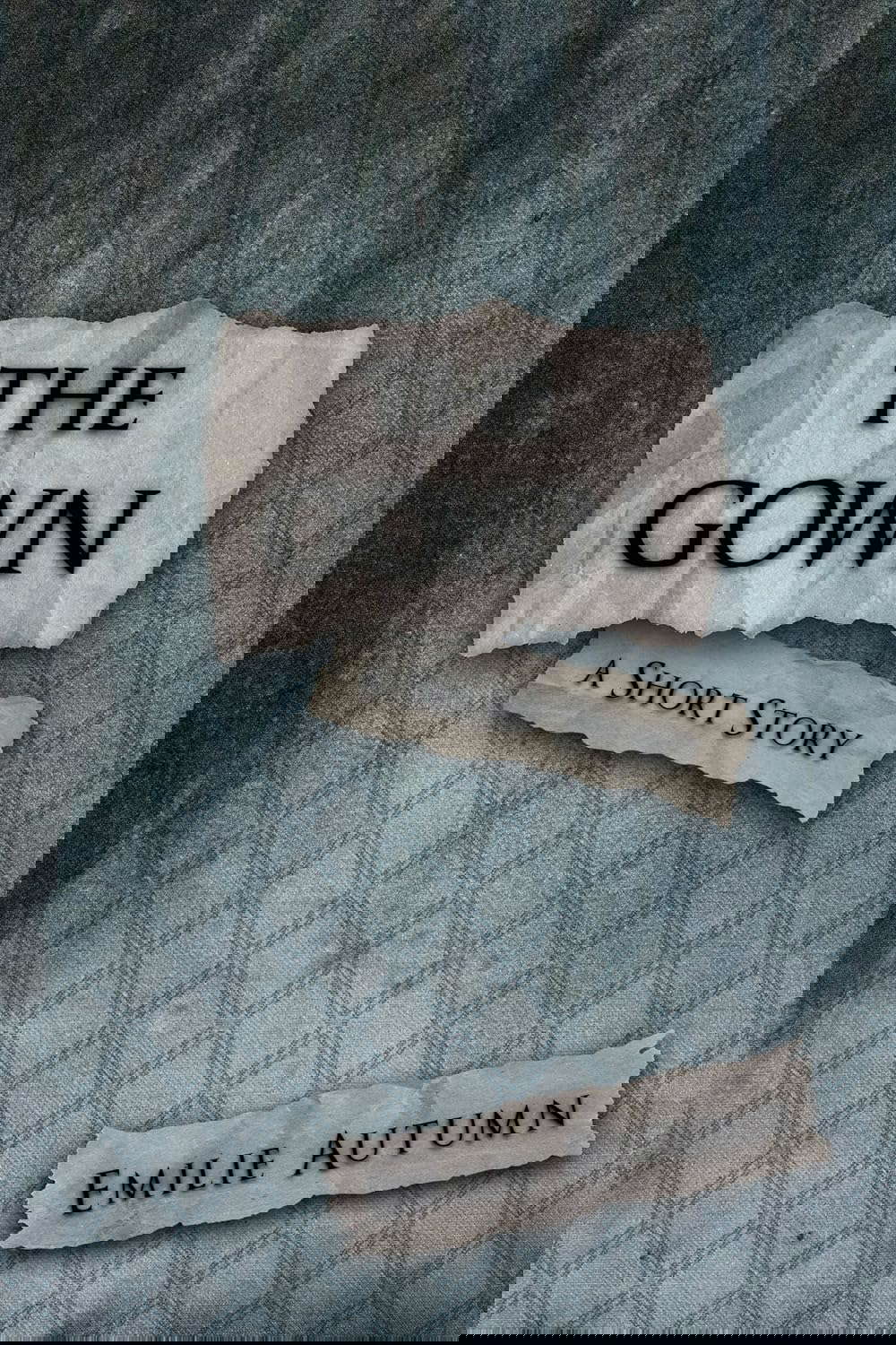 The Gown: A Short Story (with Study Guide) poster