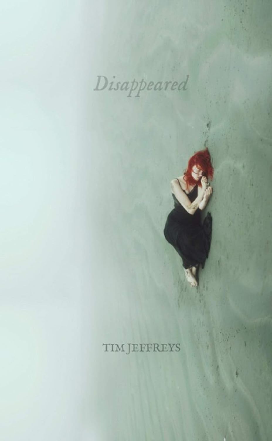 Disappeared poster