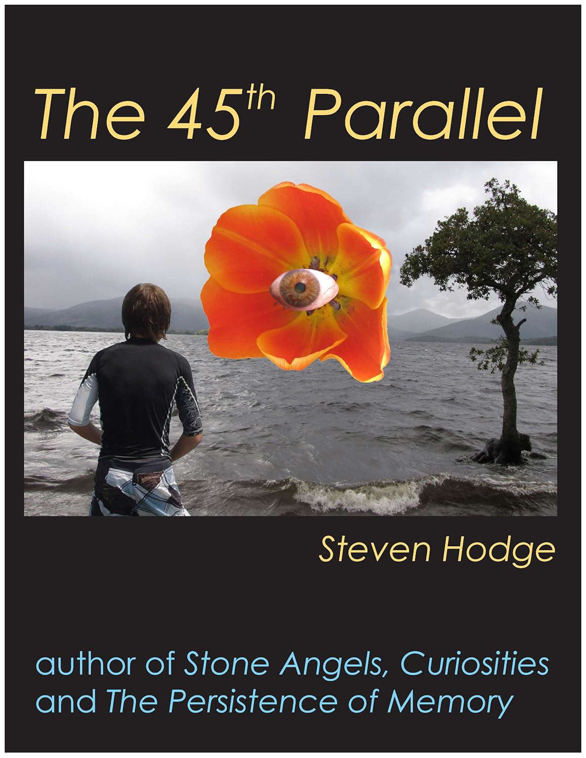 The 45th Parallel poster