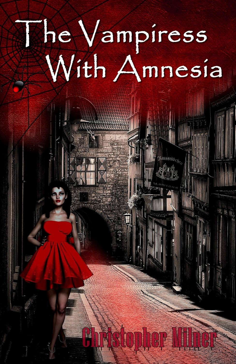 The Vampiress With Amnesia poster