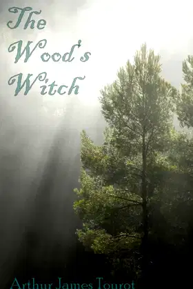 The Wood's Witch poster