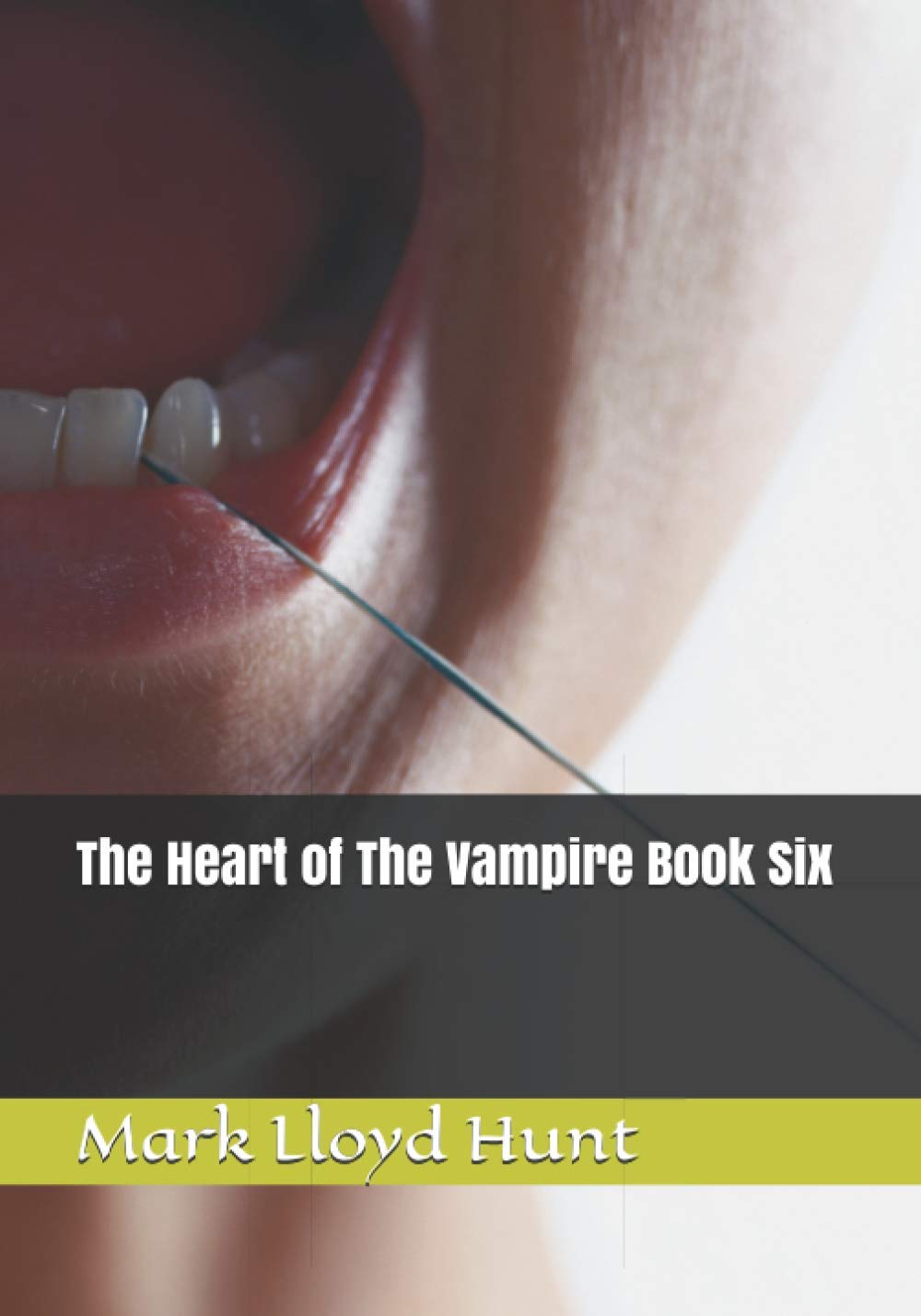 The Heart of The Vampire Book Six poster