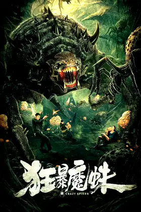 Crazy Spider poster