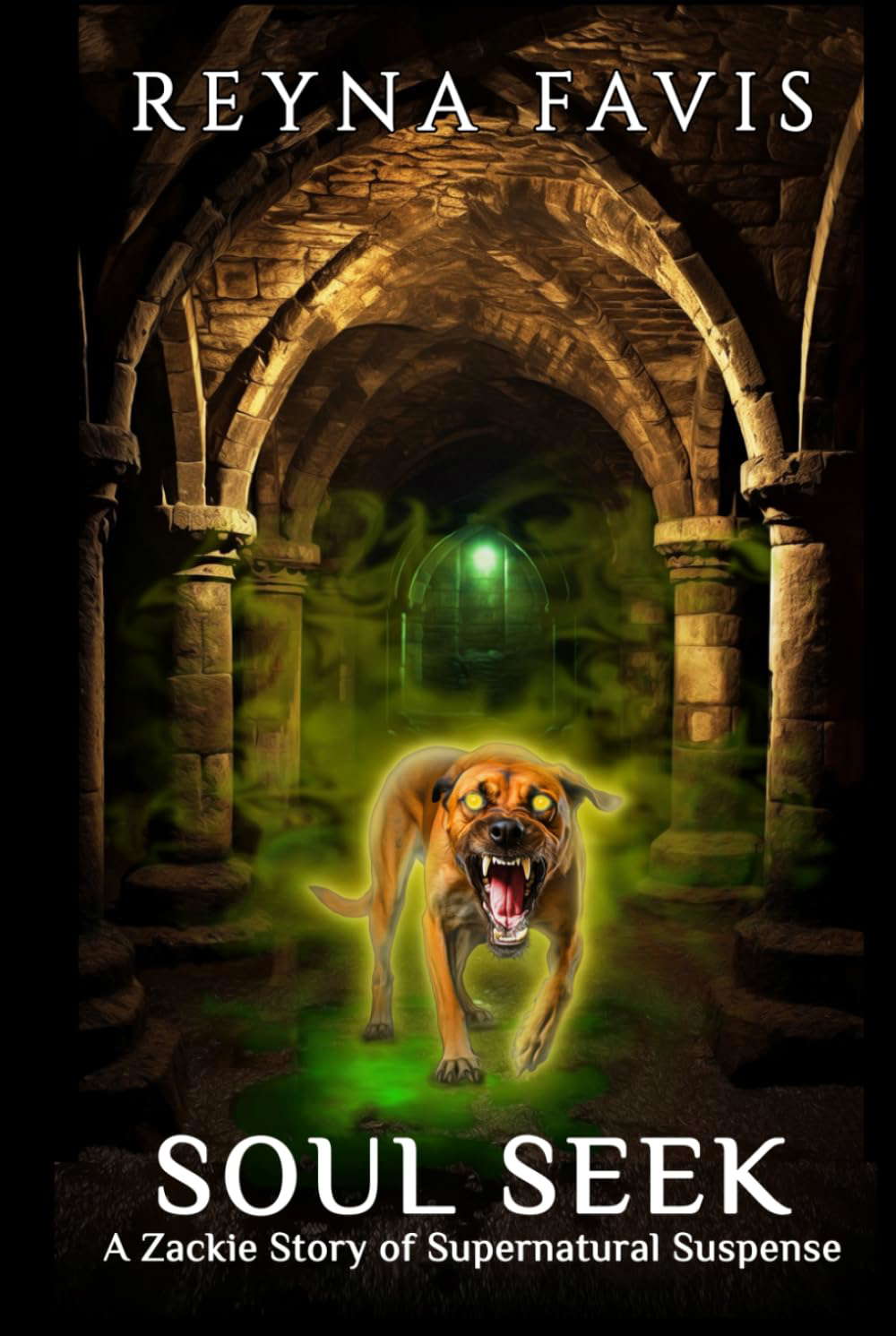 Soul Seek: A Zackie Story (The Zackie Stories) poster