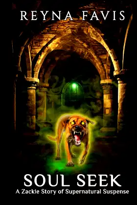 Soul Seek: A Zackie Story (The Zackie Stories) poster