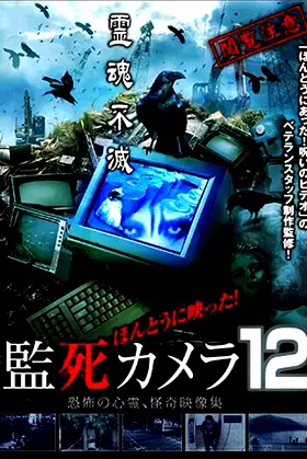 Paranormal Surveillance Camera 12 poster