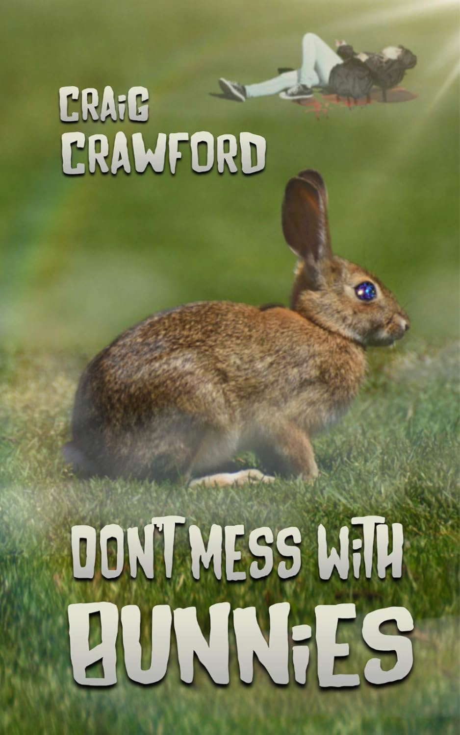Don't Mess With Bunnies poster