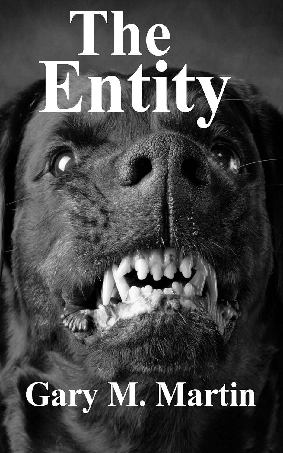 The entity poster