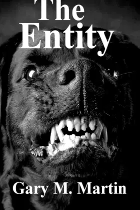 The entity poster