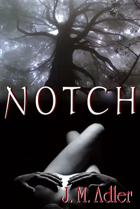 Notch poster