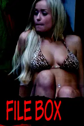 File Box poster