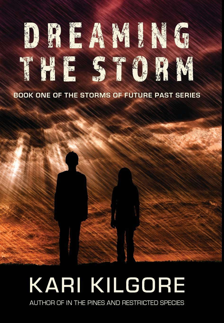 Dreaming the Storm (Storms of Future Past) poster