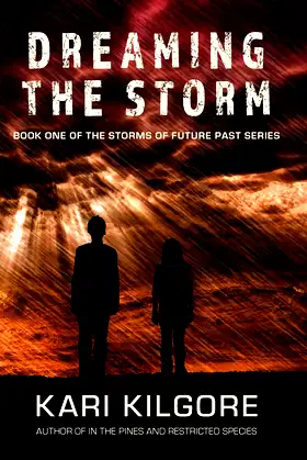 Dreaming the Storm (Storms of Future Past) poster