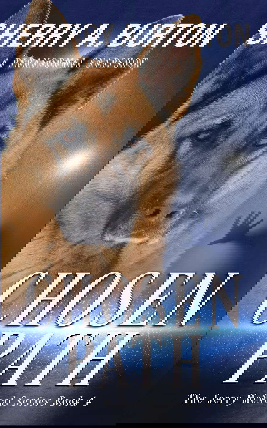 Chosen Path: Book 4 in The Jerry McNeal Series (A Paranormal Snapshot) poster