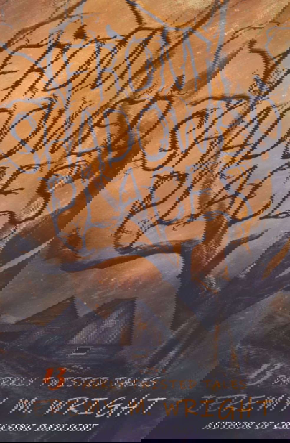 From Shadowed Places: 13 Darkly Twisted Tales poster