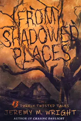 From Shadowed Places: 13 Darkly Twisted Tales poster