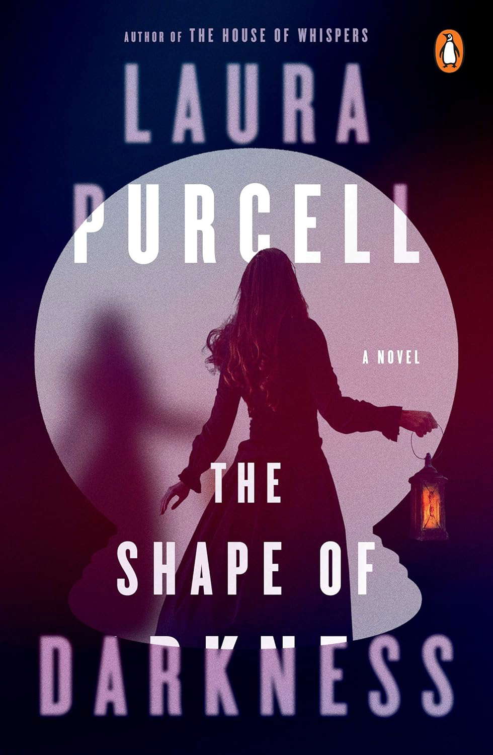 The Shape of Darkness: A Novel poster