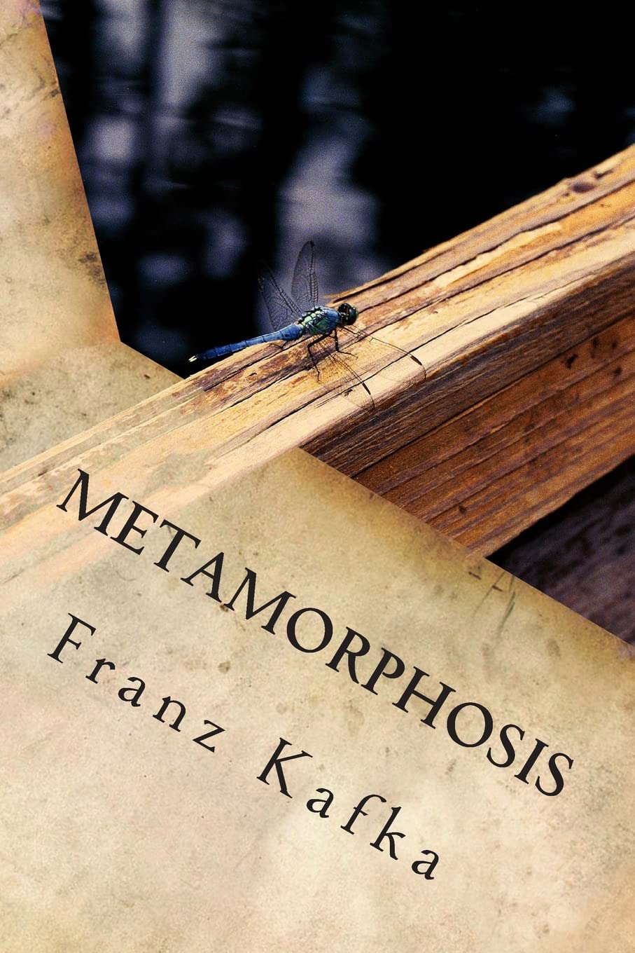 Metamorphosis poster
