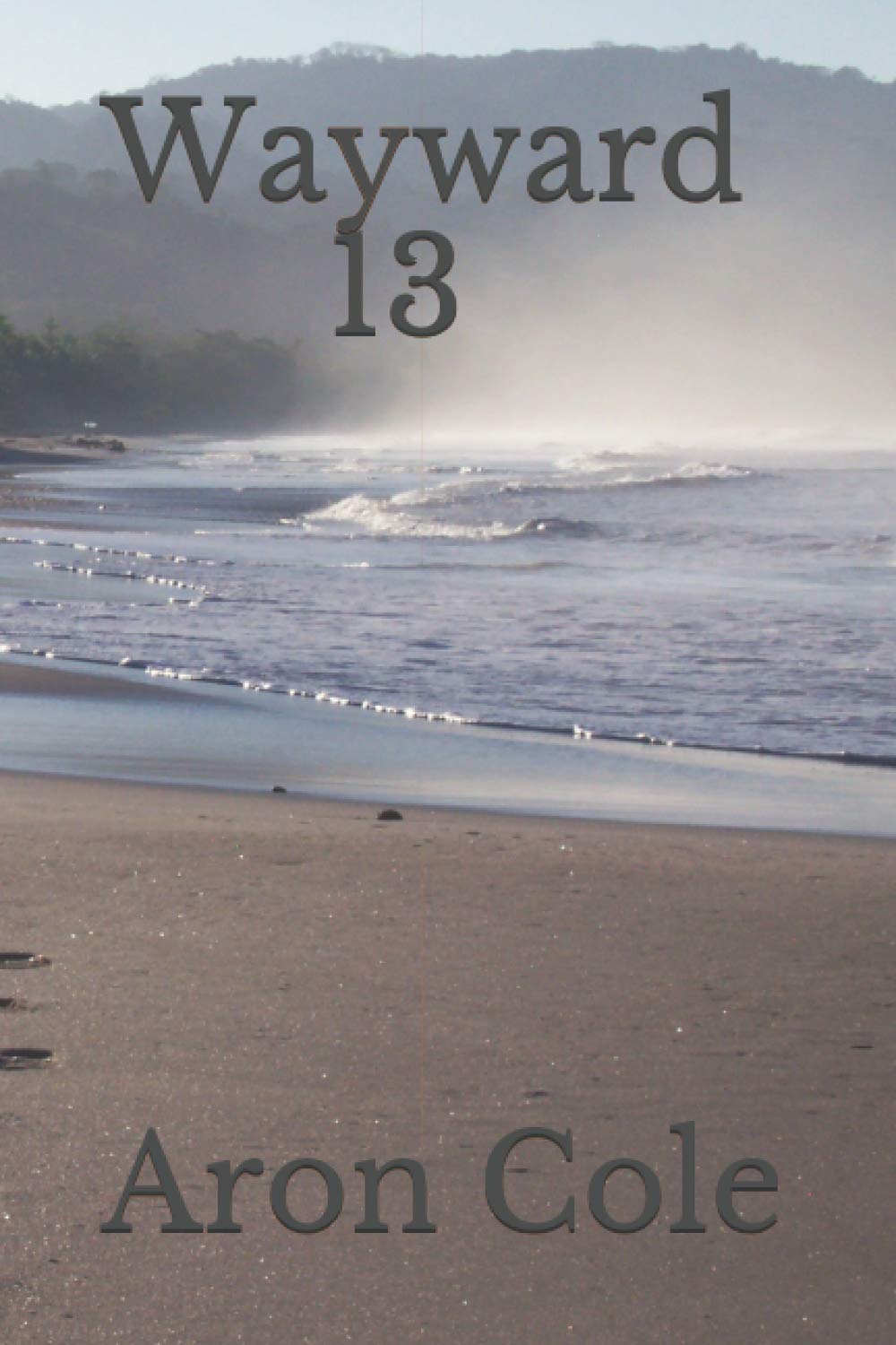 Wayward 13 poster